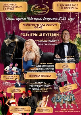 Новый 2026 год в санатории «Плисса» 